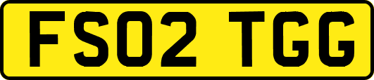 FS02TGG