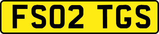 FS02TGS