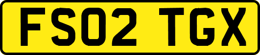 FS02TGX