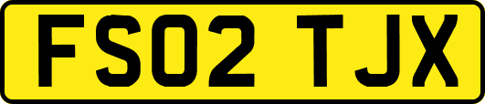 FS02TJX