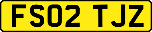 FS02TJZ