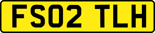 FS02TLH