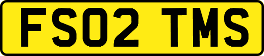 FS02TMS