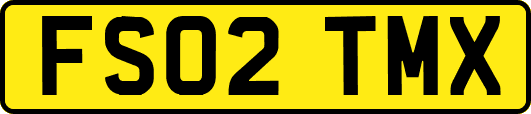 FS02TMX