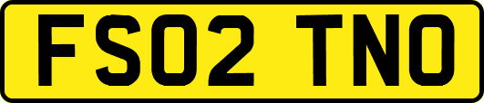 FS02TNO