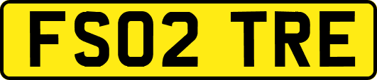 FS02TRE