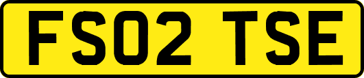 FS02TSE