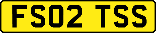 FS02TSS
