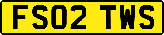 FS02TWS