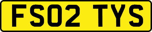 FS02TYS