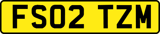 FS02TZM