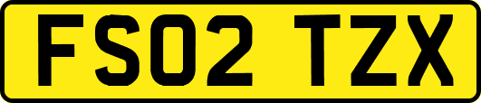 FS02TZX