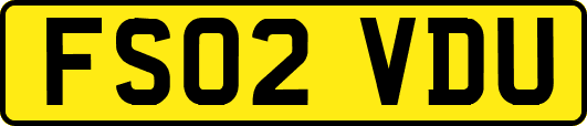 FS02VDU