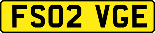 FS02VGE