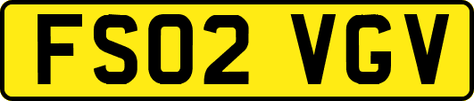 FS02VGV