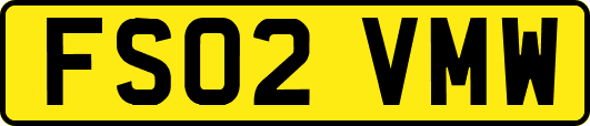 FS02VMW