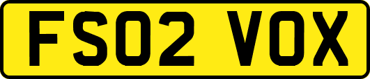 FS02VOX