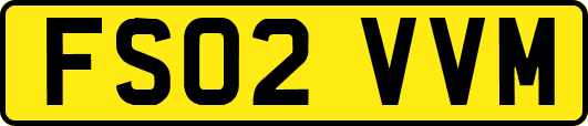 FS02VVM
