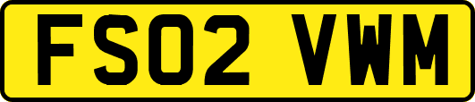 FS02VWM