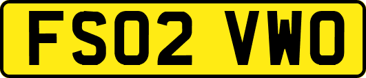 FS02VWO