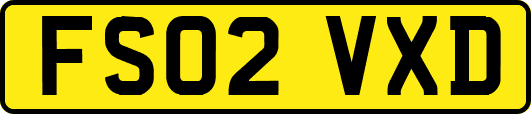 FS02VXD