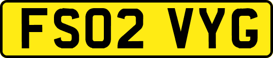 FS02VYG