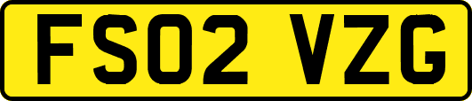 FS02VZG