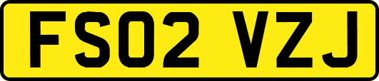 FS02VZJ