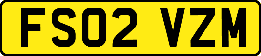 FS02VZM