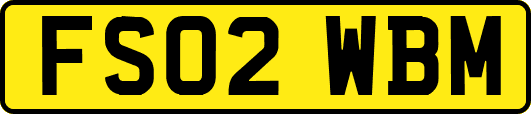 FS02WBM