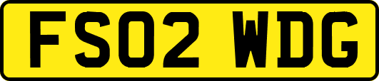 FS02WDG
