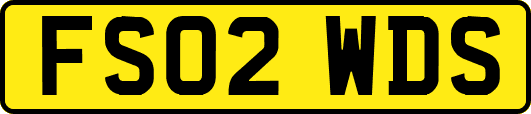 FS02WDS