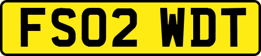 FS02WDT
