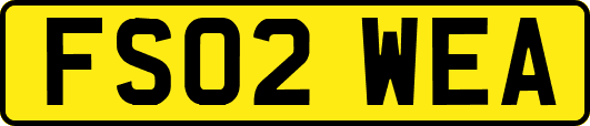 FS02WEA