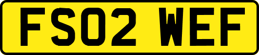 FS02WEF