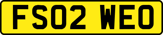 FS02WEO