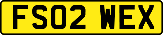 FS02WEX