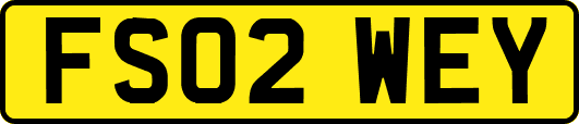 FS02WEY