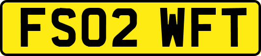 FS02WFT