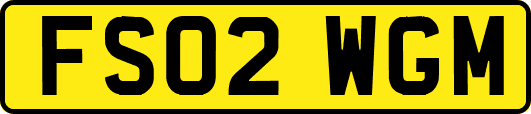 FS02WGM