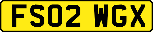FS02WGX