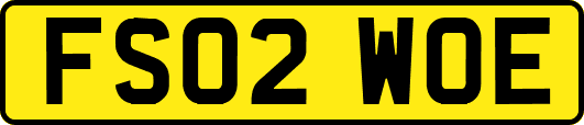 FS02WOE