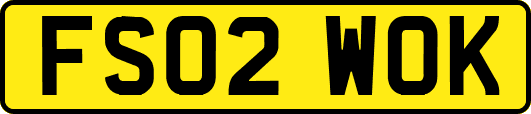 FS02WOK