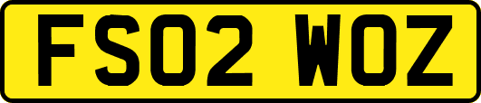FS02WOZ