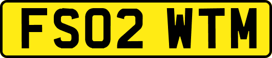FS02WTM