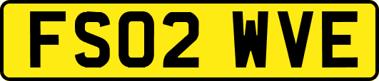 FS02WVE