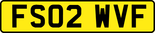 FS02WVF