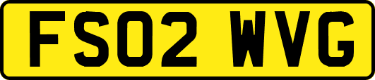 FS02WVG