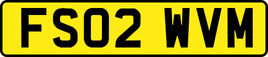 FS02WVM