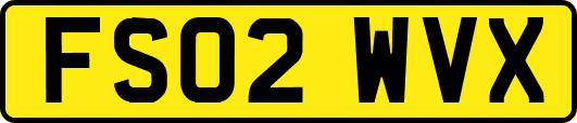 FS02WVX